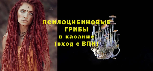 прущие крисы Алексин