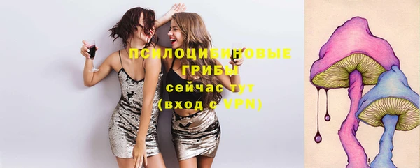 прущие крисы Алексин