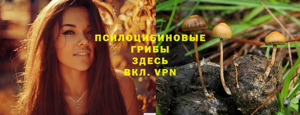 каннабис Алзамай