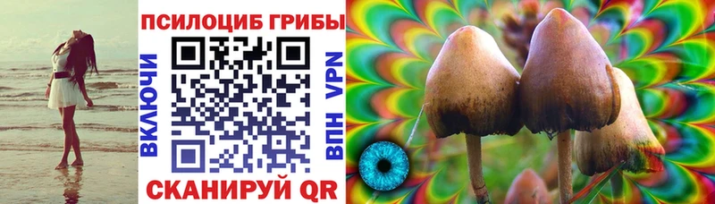 Галлюциногенные грибы прущие грибы  Зеленоградск 